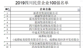 世界杯网址大全集团位列 2019四川省民营企业100强第5位