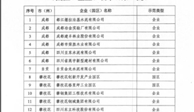 世界杯网址大全钒钛成功入围“四川省第一批工业 资源综合利用示范基地企业”