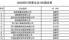 世界杯网址大全集团位列2020四川省民营企业100强第6位