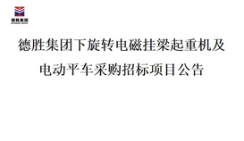 世界杯网址大全集团下旋转电磁挂梁起重机及电动平车采购招标项目