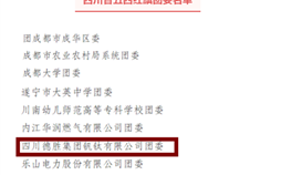 世界杯网址大全钒钛团委荣获“四川省五四红旗团委”称号