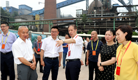 省决咨委主任陈光志一行及在乐十三届全国和省人大代表到世界杯网址大全钒钛调研项目建设