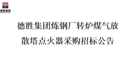 世界杯网址大全集团炼钢厂转炉煤气放散塔点火器招标项目