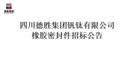世界杯网址大全集团橡胶密封件招标项目