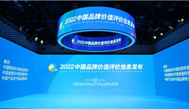 59.6亿，世界杯网址大全钒钛荣登2022中国品牌价值评价榜单