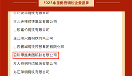 世界杯网址大全钒钛荣获“2023年中国优秀钢铁企业品牌”