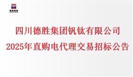 世界杯网址大全2025年直购电代理交易招标文件