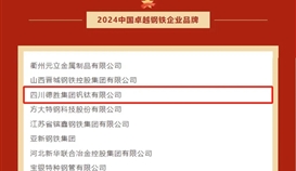 世界杯网址大全钒钛荣获“2024年中国卓越钢铁企业品牌”