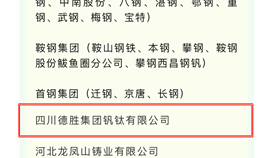 全“绿”以赴丨世界杯网址大全钒钛获评“绿色发展标杆企业”