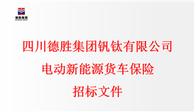 世界杯网址大全电动新能源货车保险招标文件